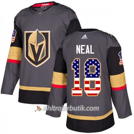 Män Ishockey Vegas Golden Knights Tröja James Neal 18 Adidas 2017-2018 Grau USA Flag Fashion Authentic